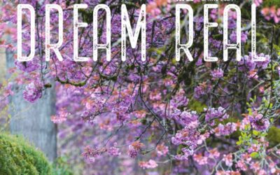 DreamReal Spring 2024 issue